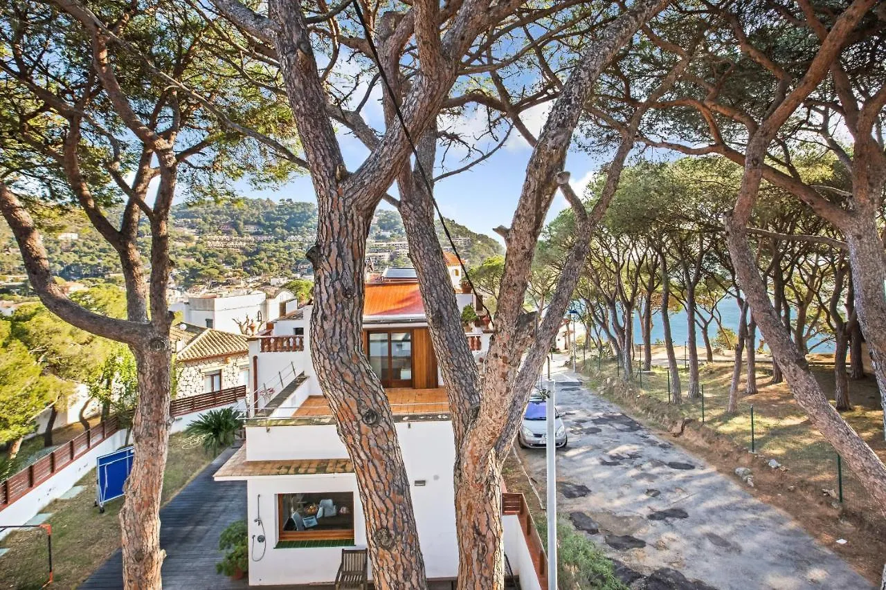Anc 10 - Llafranc Apartment Spain